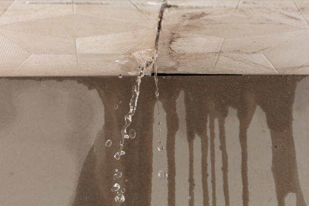 Professional Water Damage Repair technician working in Giddings, TX